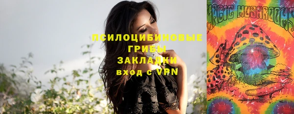 винт Медвежьегорск